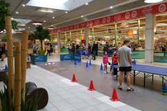 AnimCarrefour03042015-1